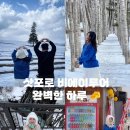 삿포로 여행 “인디고트래블” 비에이투어 예약 및 후기 (치즈짱 🧀 가이드님)