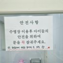 204풀빌라