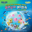 별무지개연구소 | 코엑스 아쿠아리움 4살 아기랑 스폰지밥 만나러 출동 인어공주 공연 주차 꿀팁 대방출 (내돈내산 후기)