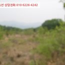 경기도 양평군 양동초등학교 이미지