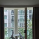 웍 앤 누들 | 만 3세 아이랑 시드니 여행 : 타롱가 주 아쉬웠던 후기 &amp; 시드니 커피 맛집 카브리토 커피 트레이더스...