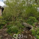 정원플라워 이미지