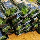 효진관 합기도 이미지