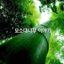 하양치과기공소 이미지