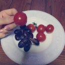 춘하추동한의원 이미지