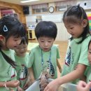 바다의별유치원 이미지