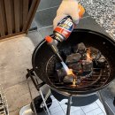 무진장조은애견 | [경남 산청] 막바지 여름 가족여행 (앤더포레 글램핑)