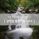 감악산 물맞이길(물맞으러 가는 길) | 눈을 맑게 하고, 우렁찬 계곡 소리가 귀를 즐겁게 하는 길, 감악산 물맞이길 1코스 &#39;물맞으러 가는 길&#39;