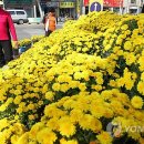 인동네거리(인동치안센터 앞) 이미지