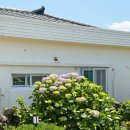 안덕면 대평 버스정류장 이미지