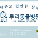 루리동물병원 네이버블로그