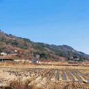 수기1리 이미지