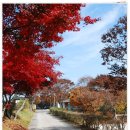 교룡산 둘레길 이미지