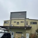 아셀 키즈 | 강화도 대가족여행 아셀키즈펜션 라푼젤 후기