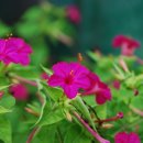 등산로집 이미지