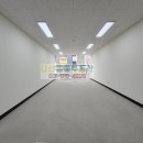 심쿵냥 고양이분양 이미지