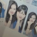 고삐리둘 이미지