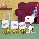 뉴동강카프라자 | 2026 해맞이 성공! 모나용평 발왕산 해맞이 패키지 솔직 후기｜2027 준비한다면 꼭 참고