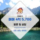 지산공인중개사 사무소 이미지