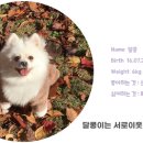 하센호텔 이미지