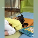조동물병원
