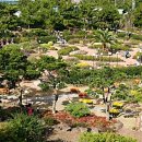 제주소요 이미지