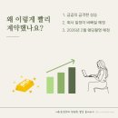 밀알 | 가성비 웨딩밴드 종로 밀알쥬얼리 계약 후기
