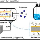 저렴하게 암모니아에서 고순도 수소 추출..'수소경제' 한걸음 가까이 이미지