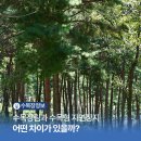 파주수목장