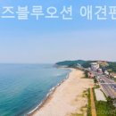 더 퍼피즈 블루오션 이미지