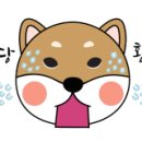 신나는전동세상