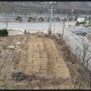 용두공원 앞 이미지