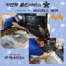 카클린 이미지