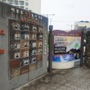 청정명품횟집 이미지