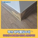 국일상사 | 부산 바닥몰딩수리 강아지가 물어뜯은 마감재 시트지작업
