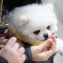 시대용역(주) 이미지