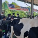 수정컨설팅 충청일보