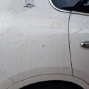 대박손세차장 이미지