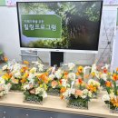 [쉼표아로마] 아로마 테라피 & 도심 속 힐링 | 힐링 워크숍 기업 기관 강의 교육 프로그램 플라워 아로마 테라피 센터피스 후기