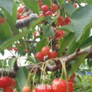 시후농장 이미지