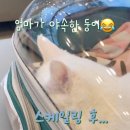 내포동물의료센터 이미지