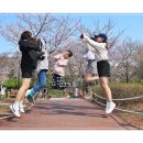 연지 - 홍천군 아홉사리로 1138-11 | 연지