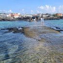 초록빛하루 이미지