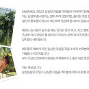 운성농장 이미지