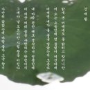 김*재 티스토리