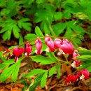 물향기공원 이미지