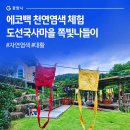 쪽빛나들이 이미지