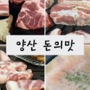 돈의맛숯불갈비양산사송 이미지