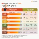 명산오리 이미지