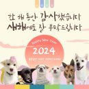 2023 감사했습니다 2024 새해에도 잘부탁드립니다🙇‍♀️🙇‍♂️ 이미지